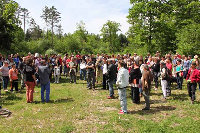 2014-05-25_rassemblement-3